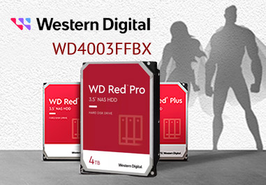 Western Digital Red PRO