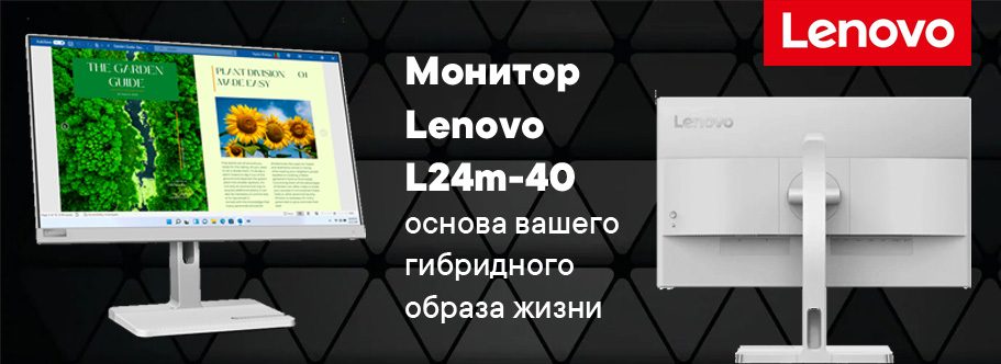 Монитор Lenovo L24m-40